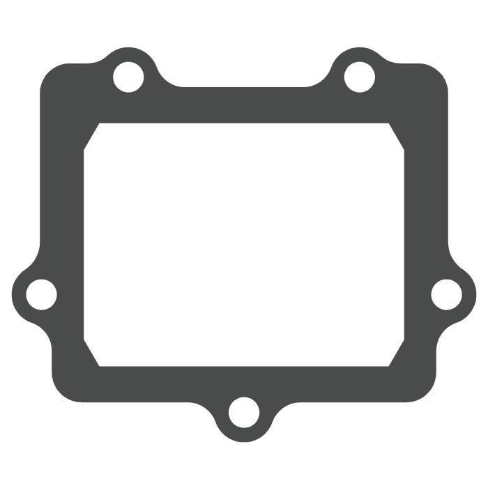 Reed valve Suzuki RM 250 (03-12) - V-Force 3 (gasket only) MTG307