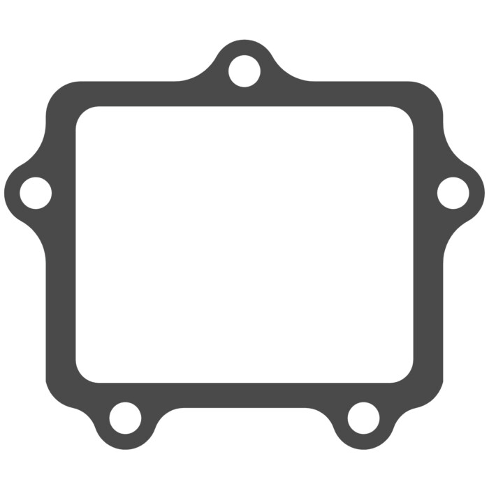 Reed valve Yamaha YZ 250 (97-25) - V-Force 4 X (gasket only) MTG407